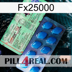 Fx25000 new02